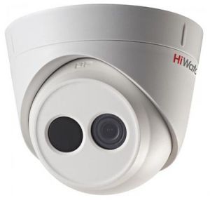 DS-I113 (6 mm)